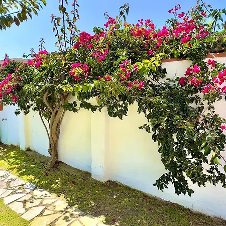 別荘 Casa Do Candeeiro オビドス